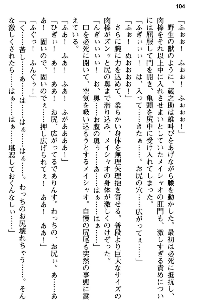 Maou no Kuse ni Namaiki da! 2: Kondo wa Seisen da!