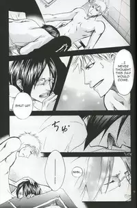 [Nikita&Raica] Family Wars (Bleach) [ENG]