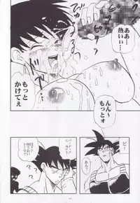 [Chirigami Goya, Fusuma go Ten (Shoji Hariko, Kuri)] Wakayo (Dragon Ball)