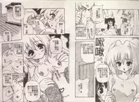 [Yasui Hirosato] Minyuu [Chinese]