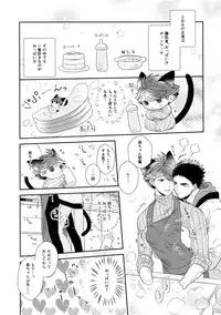 (RTS!!13) [Rototika (Kamishi Yue)] Iwachan no Neko ni Naritai 6 (Haikyuu!!)