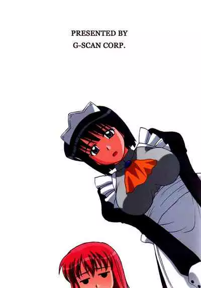 (C76) [G-SCAN CORP. (Satou Chagashi)] Le beau maitre 6 (Zero no Tsukaima) [Chinese]