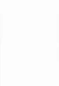 (COMIC1☆8) [Majimeya (Isao)] Grandline Chronicle 3 Momo ☆ Momo (One Piece)