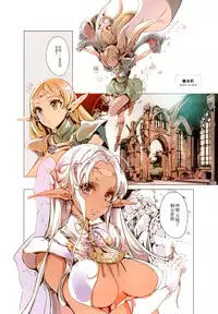 (C88) [70 Nenshiki Yuukyuu Kikan (Ohagi-san)] Elves (Record of Lodoss War) [Chinese] [脸肿汉化组]
