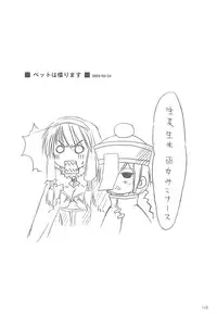 [観月堂] 電撃ラグナ (RO)