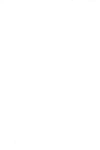 (C97) [Yukan High Zakura (Chieko)] Hitozuma ♂ Tousatsu Netori