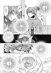 Comic LO 2005-01 Vol. 12