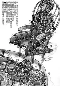 [Sumomo Dou(Sumomo EX)] Maid no Arbeit wo Shitara Taihen na Koto Ni Natta Ken [Chinese]