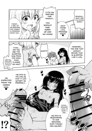 Rito-san no Harem Seikatsu 8 | Rito's Harem Lifestyle 8