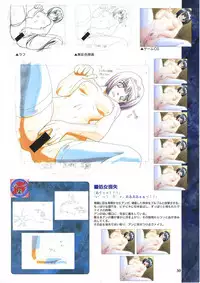 Elfeana ～ Yoru e to Urareta Oukoku de... ～ original artworks