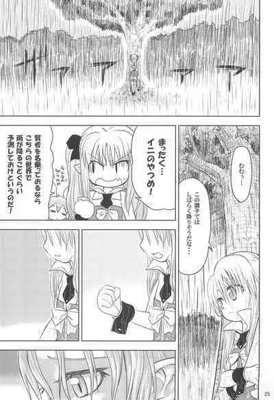 Maigo no Maigo no Hime-sama Plus