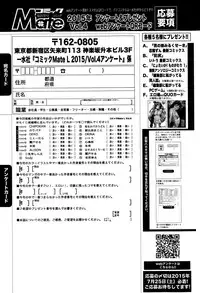 COMIC Mate legend Vol. 4 2015-08