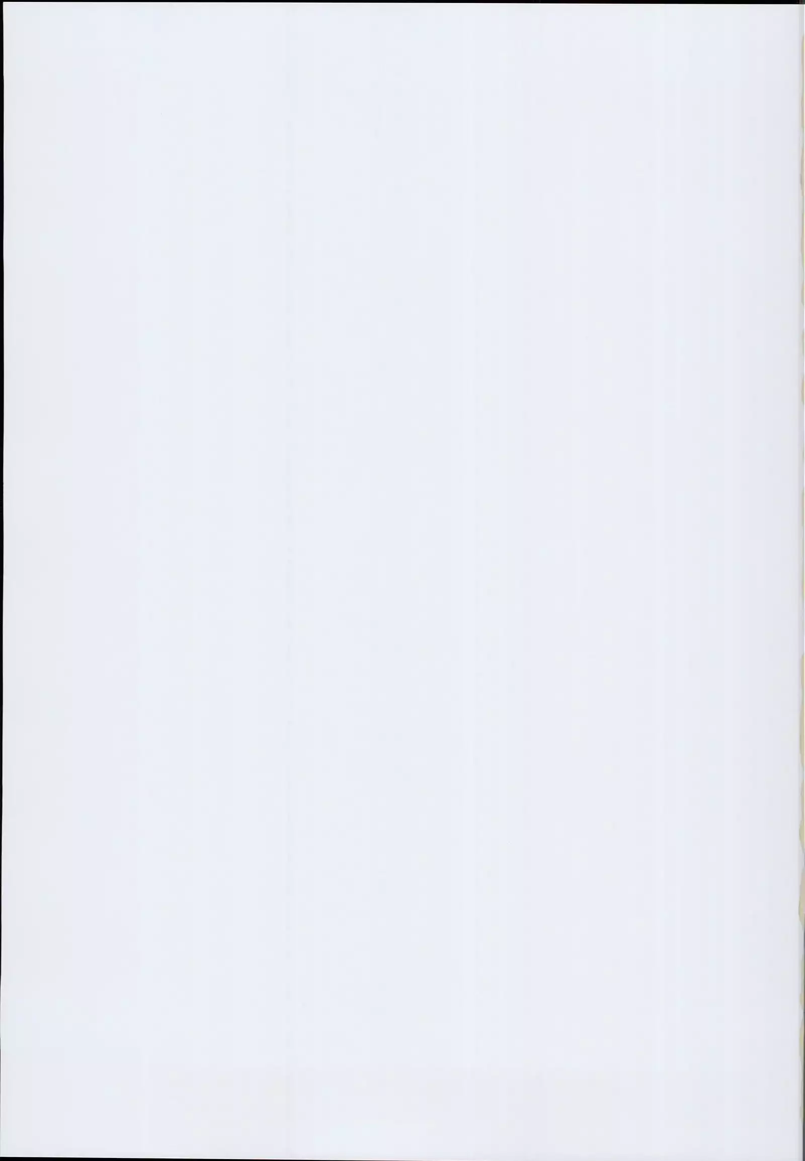 Andira La La Land II