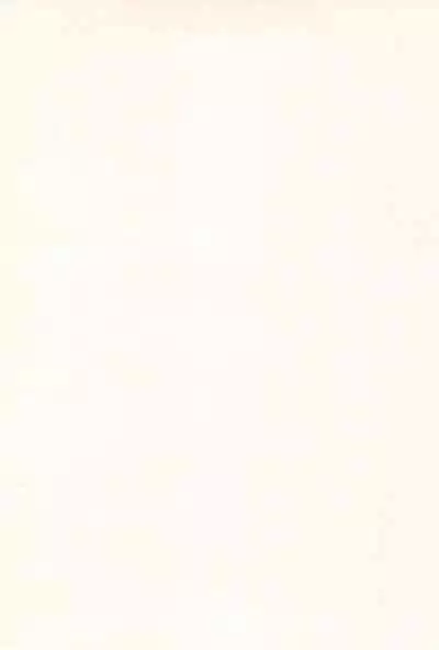 Gensoukyou Inkou Shobatsu Kitei Joubun