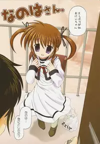 Nanoha san. +Fate-chan. Full Color Soushuuhen(Mahou Shoujo Lyrical Nanoha)