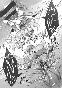 (COMIC1☆13) [Hatake no Oniku (Minamoto)] Neko no Pet (Kirakira PreCure a la Mode)