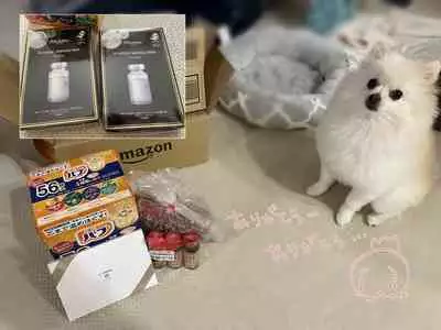 Comiket Kanren no E to Botsu E Sabun