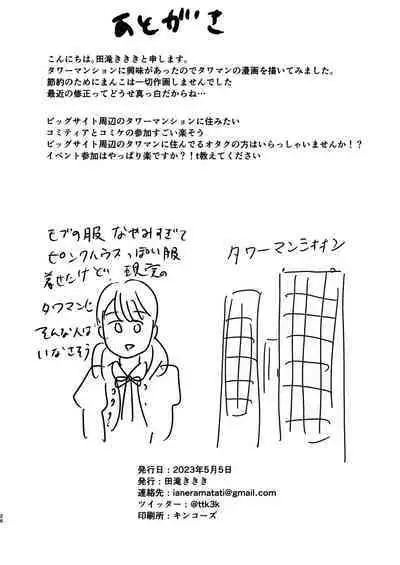 Tower Mansion Cunni Caste