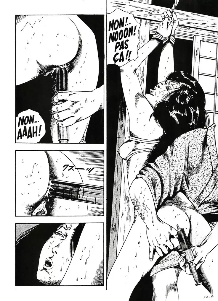 La nouvelle petite bonne