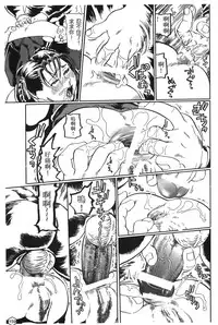 [Trochilidae] fighting queen 2 [Chiense]