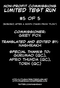 [Bobobo] Hito Tsukiburi | After A Month (PLDK) [English] =LWB=