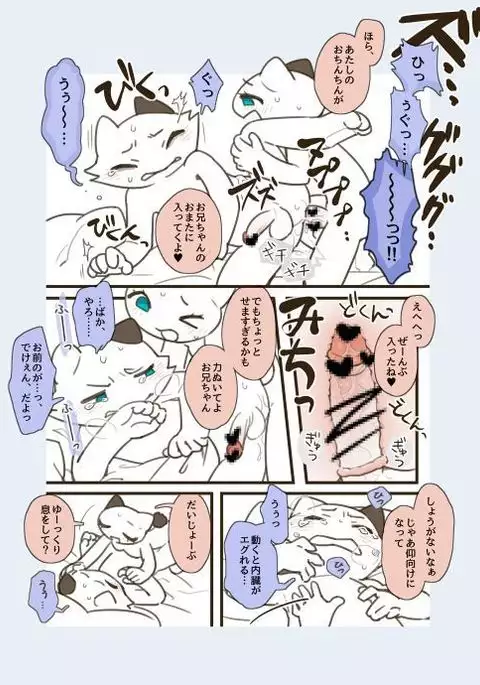 Futanari no Imouto ni Ani ga Horareru Dake no Hanashi