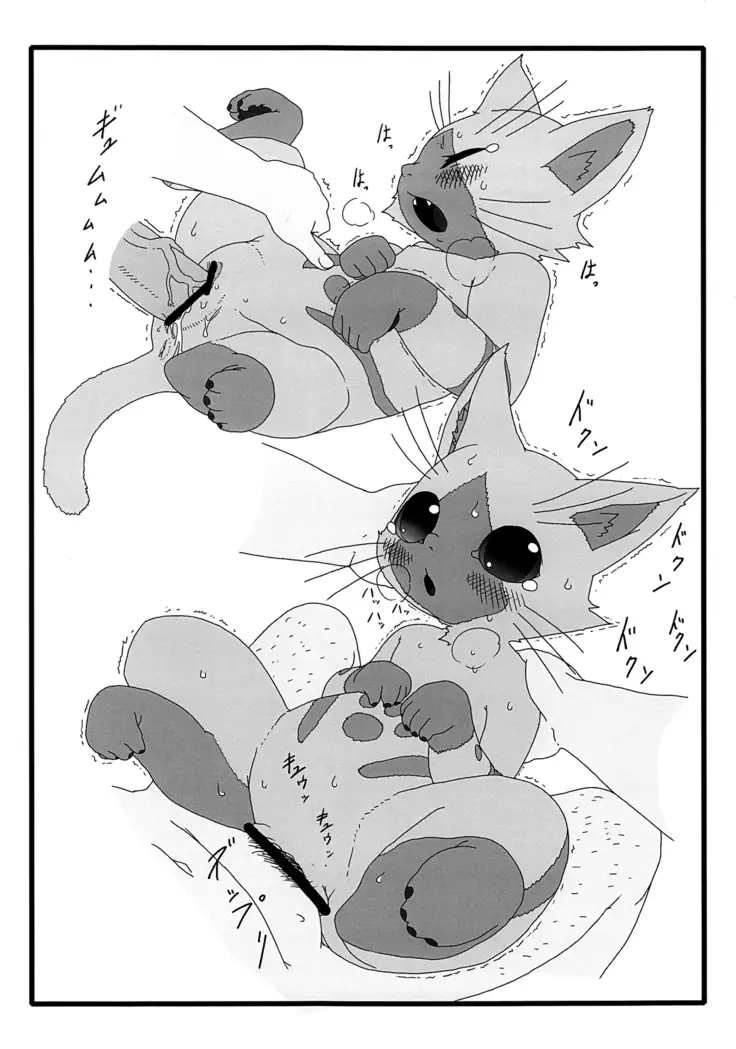 Yoru no Otomo ni Airou o.