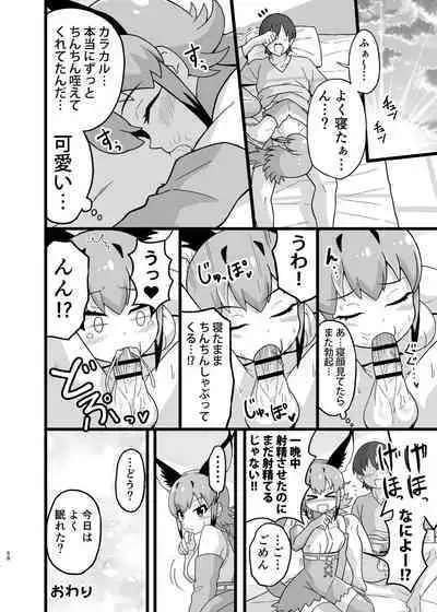 Naniyo~! Caracal Mama Goudou