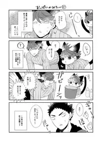 (RTS!!13) [Rototika (Kamishi Yue)] Iwachan no Neko ni Naritai 6 (Haikyuu!!)