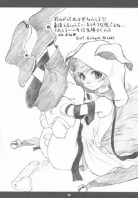 (C72) [Nekotank (Maitou)] Tadashii Aigan-ken no Sodate Kata (Shining Force EXA)