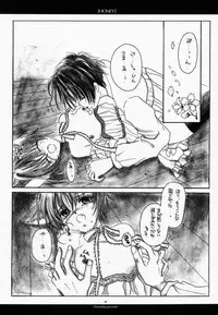 (CR27) [CHRONOLOG (Kanaru Fujimiya, Sakurazawa Izumi)] HONEY (Shin Megami Tensei if...)