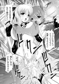 [NEKOYA-SYSTEMZ (Okazaki Nao)] Nano-chin ☆ Fa-chin ++ (Love Love) (Mahou Shoujo Lyrical Nanoha) [Digital]