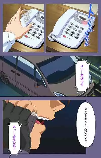 [BLACK PACKAGE TRY] [Full Color seijin ban] Ryoujoku no rensa ~ fueru emome to kasoku suru akugyō ~ Kanzenban