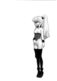 [DPP] usuyami Twillight's Last Gleaming (nadesico)