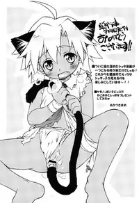 Otokonoko Katsudou Houkoku Shou