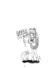 [Himitsu Kessha Tsuki to Yousei] Re-Flesh! (Sailor Moon)