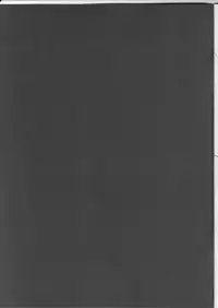 (C81) [TAIL UP! (Arima Yutaka)] KogaCyclone (Touhou Project)