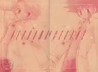 [Atsu Atsu COOK (Katagari Atsuko)] Neo Romance Game (Digimon Adventure 02)