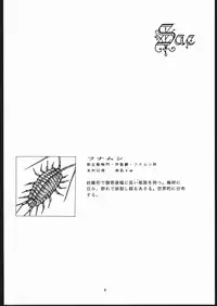 (C48) [Sae (Various)] Sae Superdry II (Cat's Eye)