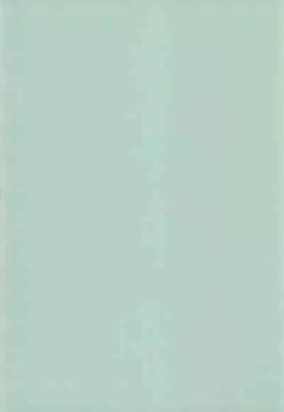 (C61) [Tenny Le Tai (R-Koga, EFINK)] Neko Maid A GO GO!