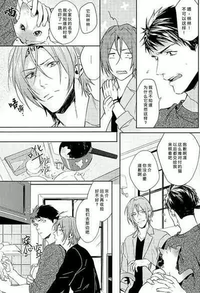 Wagaya no Nyanko-sama | 我家的喵主子