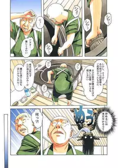 Henshin Hiroin Yoma Shisa Fu-shi Sha Hime