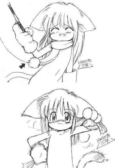 Katsuobushi COTOBA Rakugaki-bon