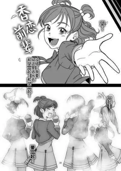 [Setouchi Mao no Yamiichi (Setouchi Mao)] Precure Sunset (Yes! Precure 5) [Chinese] [不咕鸟汉化组] [Digital]