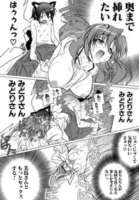 [Akazawa RED] Kupa Resort