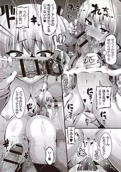 Mesu Dorei Seisakusho