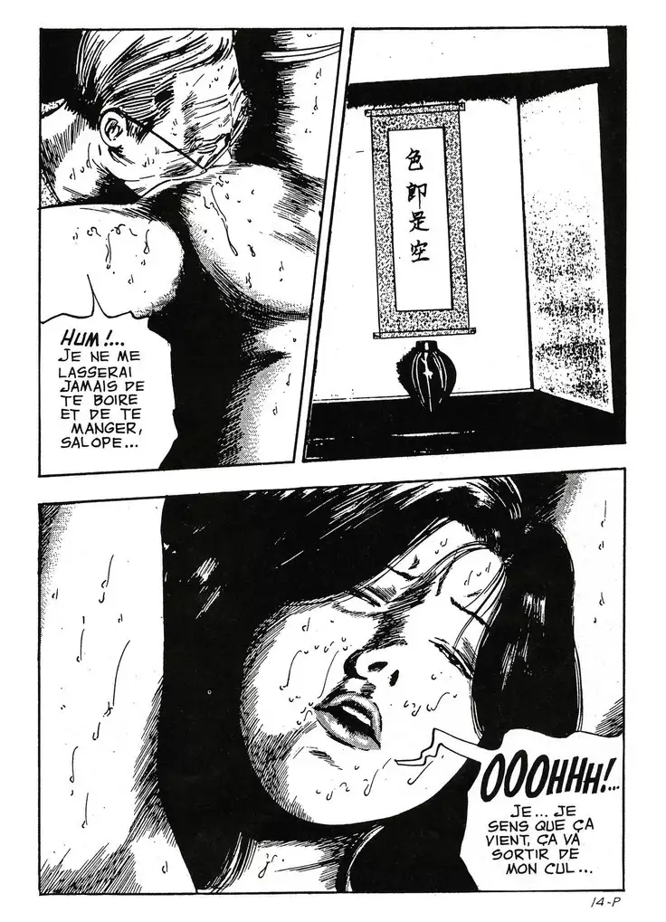 La nouvelle petite bonne