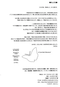 (C80) [ArcS (Sakura Yuu)] Snow Thaw (Infinite Stratos) [English] =Little White Butterflies=