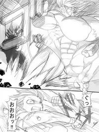 [Ahe] Stein VS Miranda