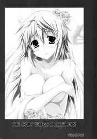 (C81) [SONIC WINTER (Tsukishima Kai)] Carol (Infinite Stratos) [English]